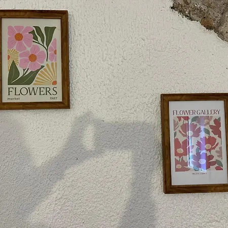 Appartement Petite Maison Avec Jardin Au Centre Du Village